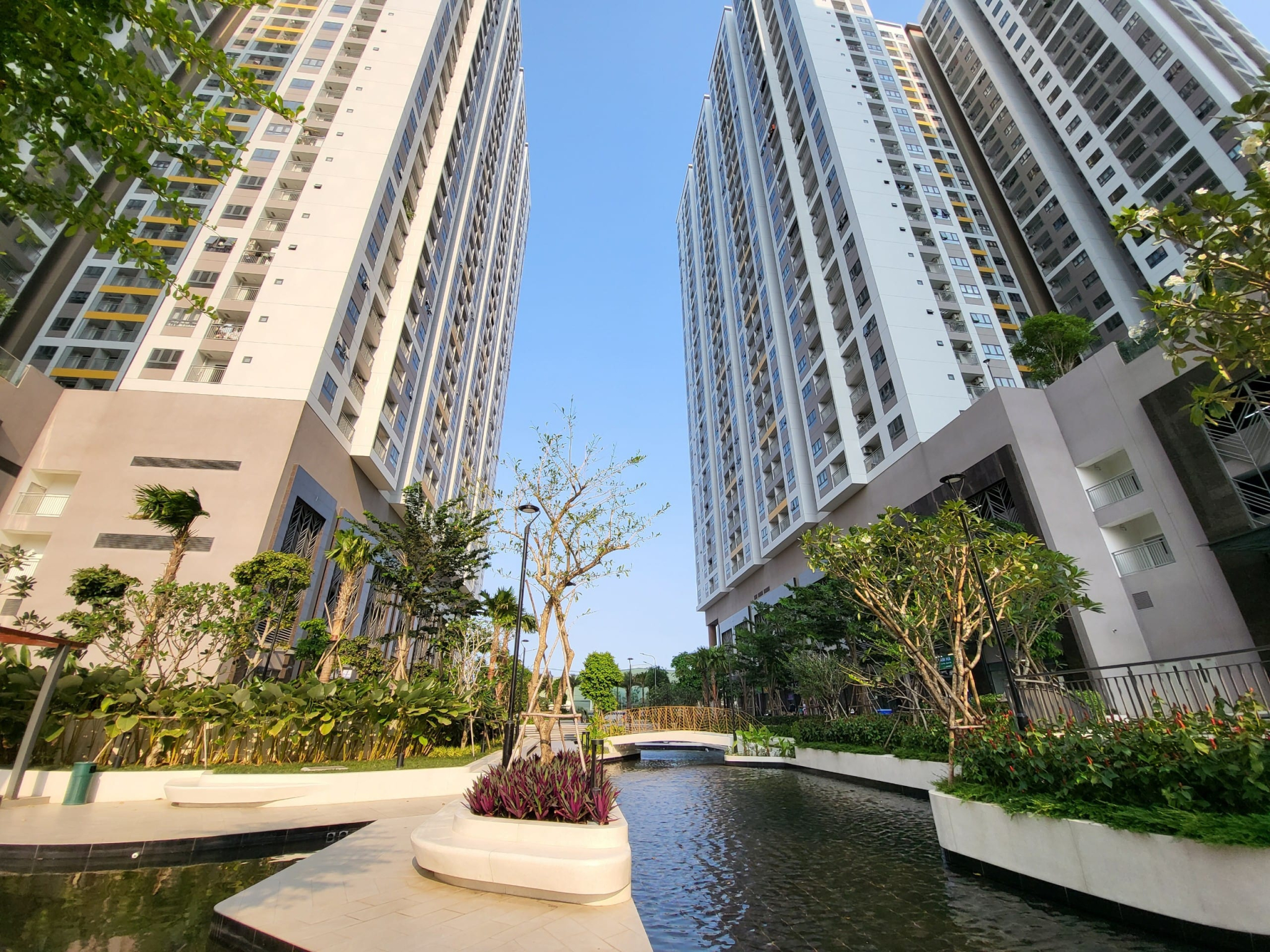 Q7 Saigon Riverside Complex đào trí cảnh quan tiện ích cây xanh chung cư