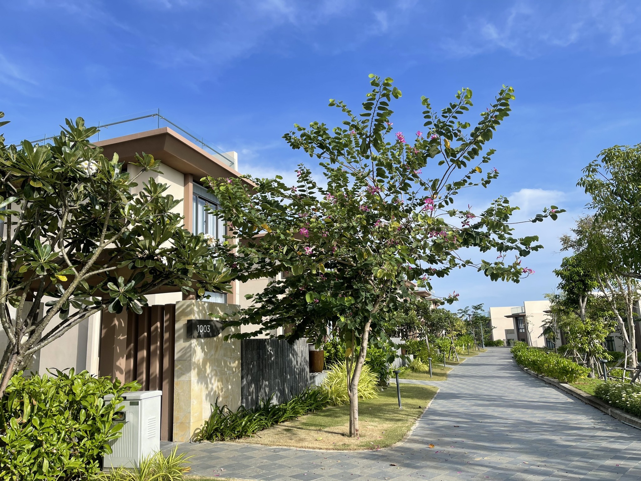 Wyndham Garden Cam Ranh phối cảnh đường nội bộ